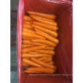 7kg /10kg Carrot Carton Package for Sale